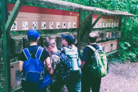 news_bodenlehrpfad_0