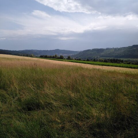 news_bodenlehrpfad_1 (3)