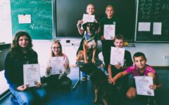 news_schulhunde2025_0
