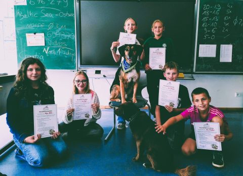 news_schulhunde2025_0