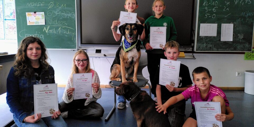 news_schulhunde2025_1