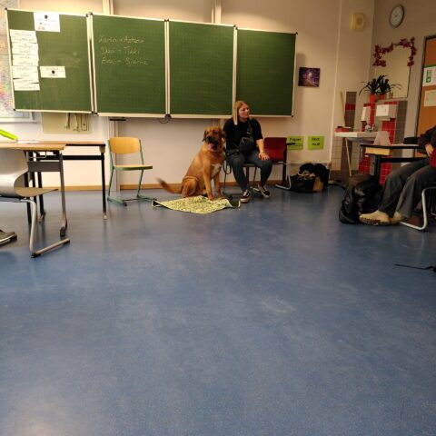 news_schulhunde_ (1)