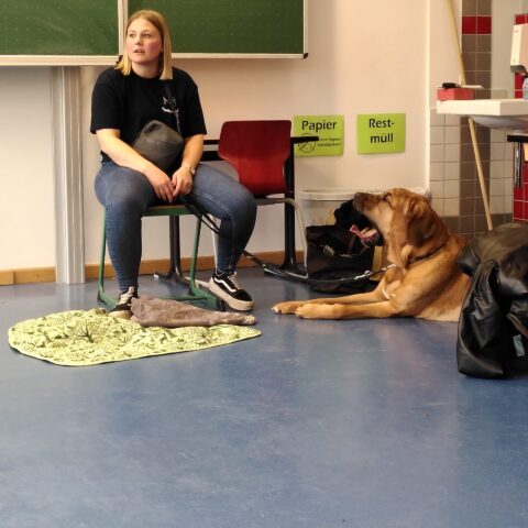 news_schulhunde_ (2)