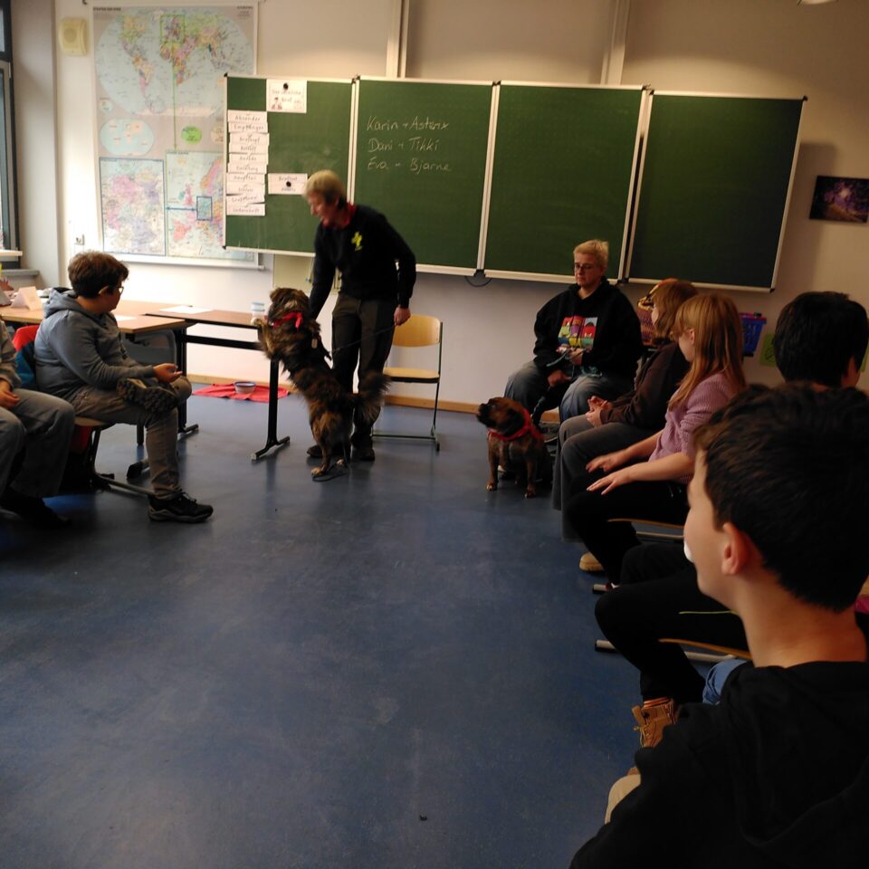 news_schulhunde_ (3)