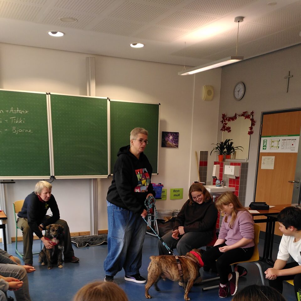news_schulhunde_ (4)