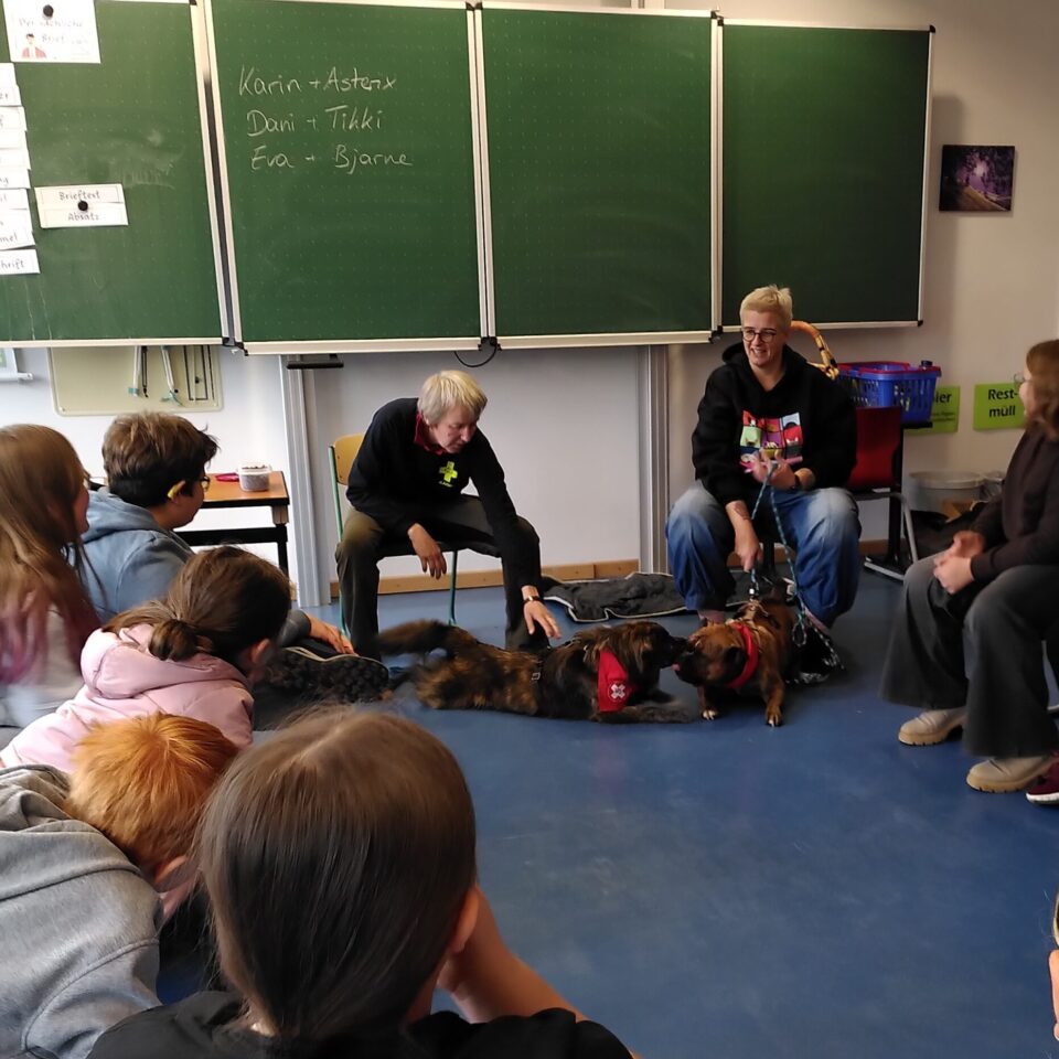 news_schulhunde_ (5)