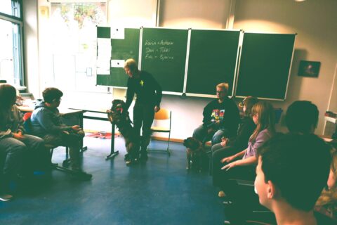 news_schulhunde_0