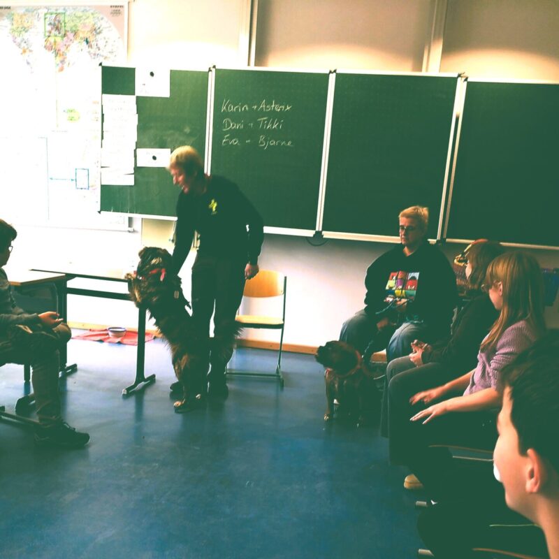 news_schulhunde_0