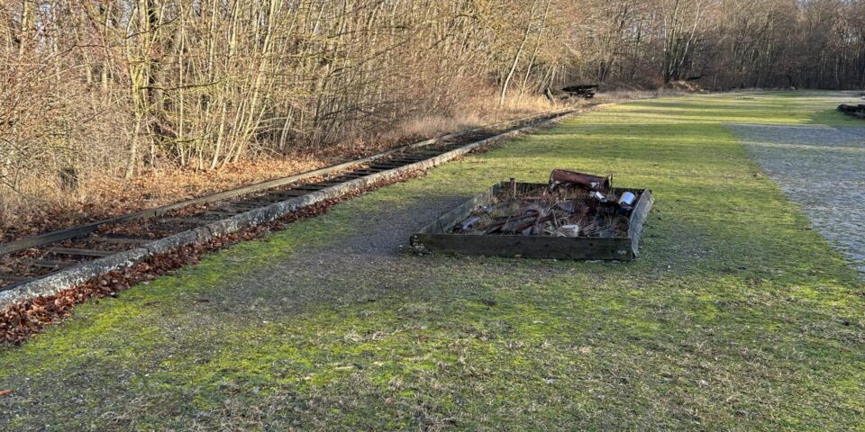 news_Buchenwald2025_ (2)