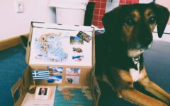 news_Länder im Schuhkarton_ (0)