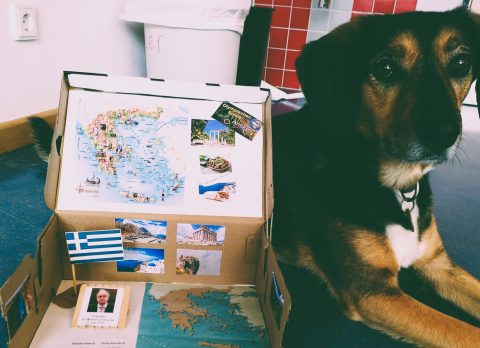 news_Länder im Schuhkarton_ (0)