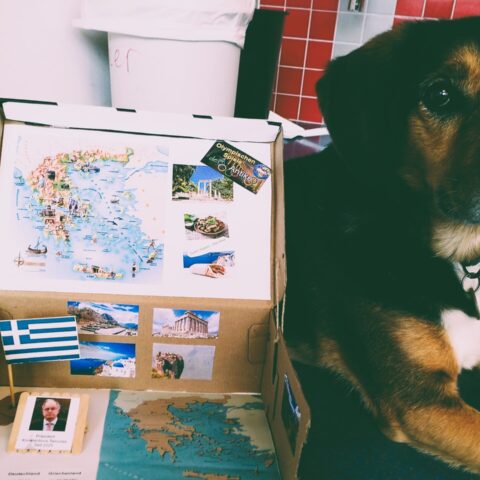 news_Länder im Schuhkarton_ (0)