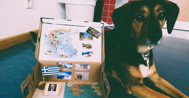 news_Länder im Schuhkarton_ (0)