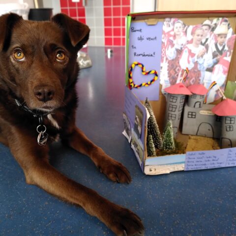 news_Länder im Schuhkarton_ (3)