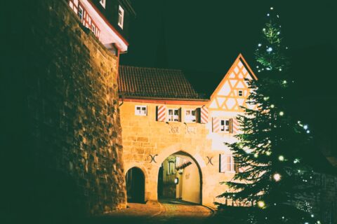 news_Lesenacht6c2025_ (0)