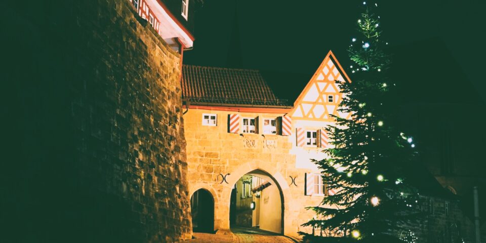 news_Lesenacht6c2025_ (0)