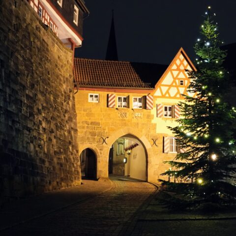 news_Lesenacht6c2025_ (3)