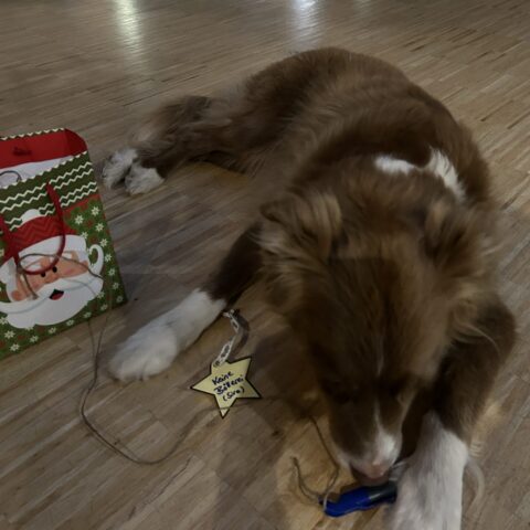 news_wunschsterne_ (1)