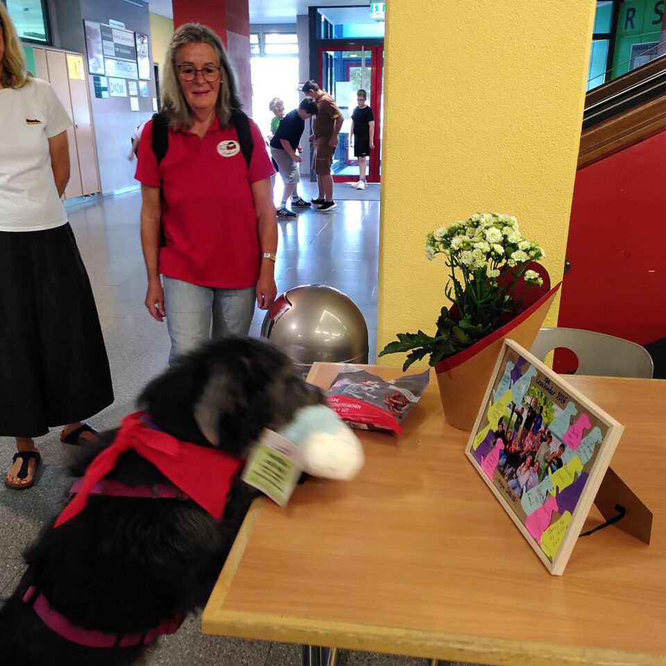news_Lesehundeinsätze_ (1)