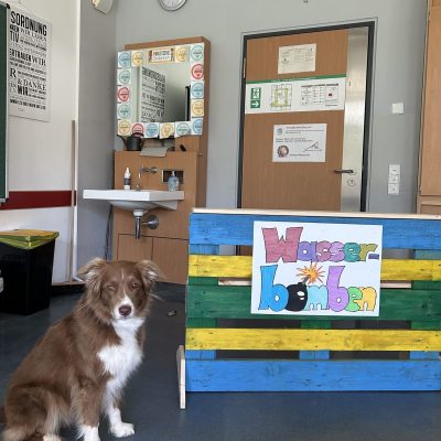 schulhunde_galerie_1