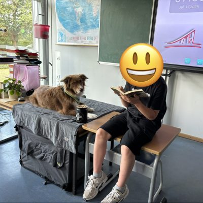 schulhunde_galerie_2