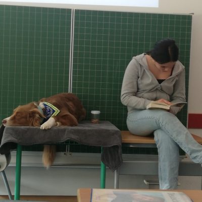 schulhundkonzept_3